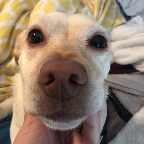 Meet your Posher, Carly - Picture 1 of 1